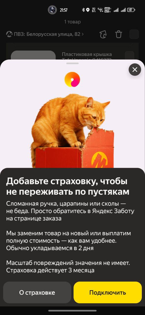 «Купите страховку!» и сноска «не защищает»