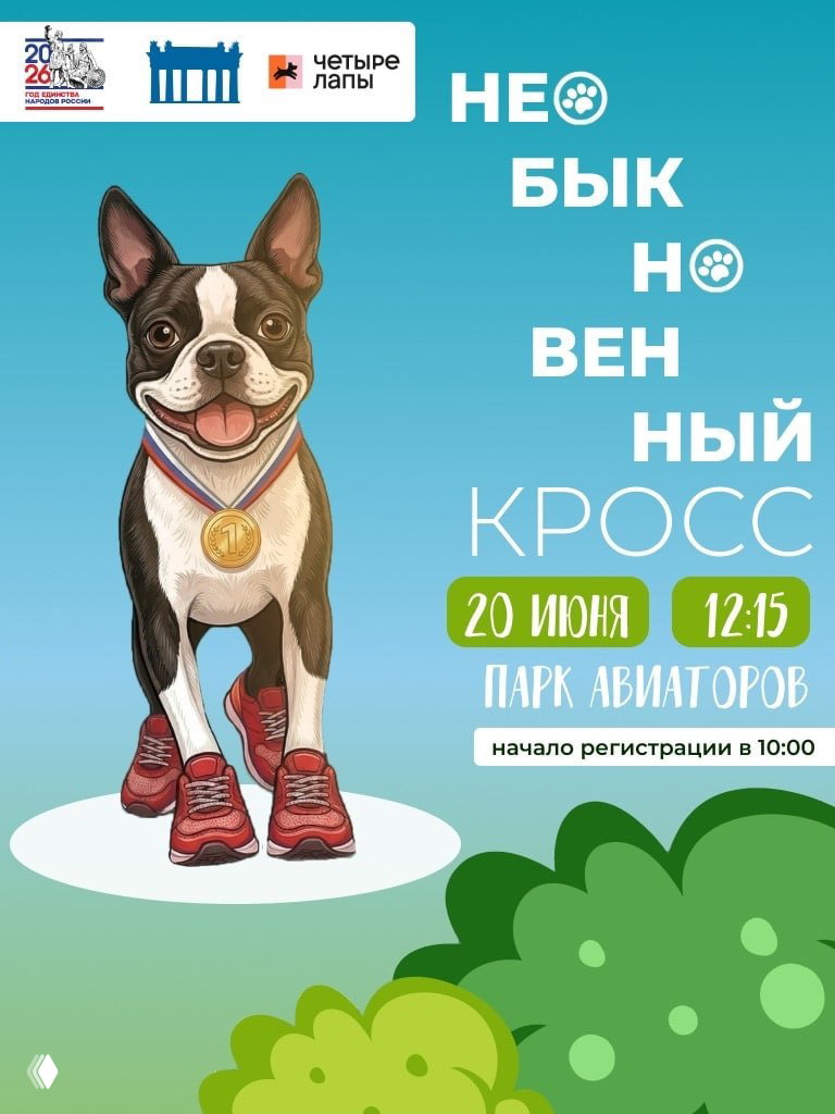 Иллюстрация афиши: собака в красных кроссовках с медалью на бирюзовом фоне; указаны дата «20 июня», время и Парк Авиаторов.