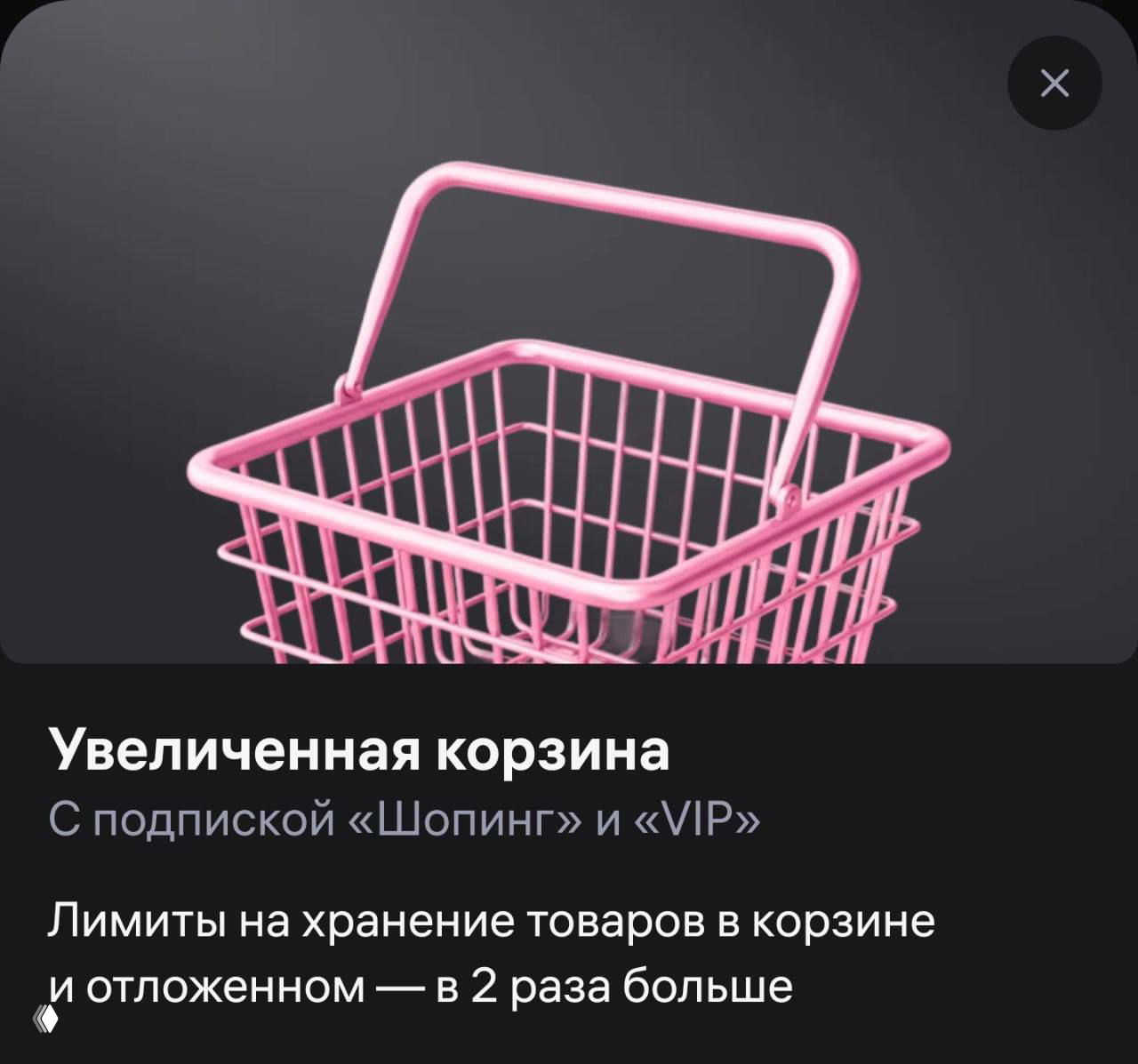 Изображение розовой корзины в модальном окне и заголовок «Увеличенная корзина», поясняющее лимиты хранения товаров при подписке.