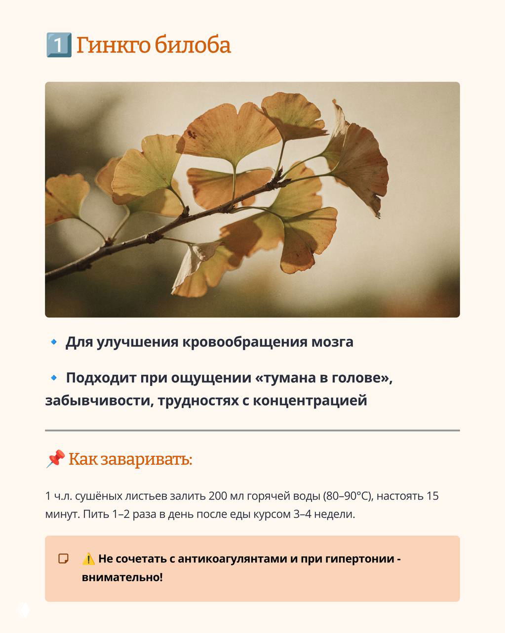 Травы для памяти и ясности ума