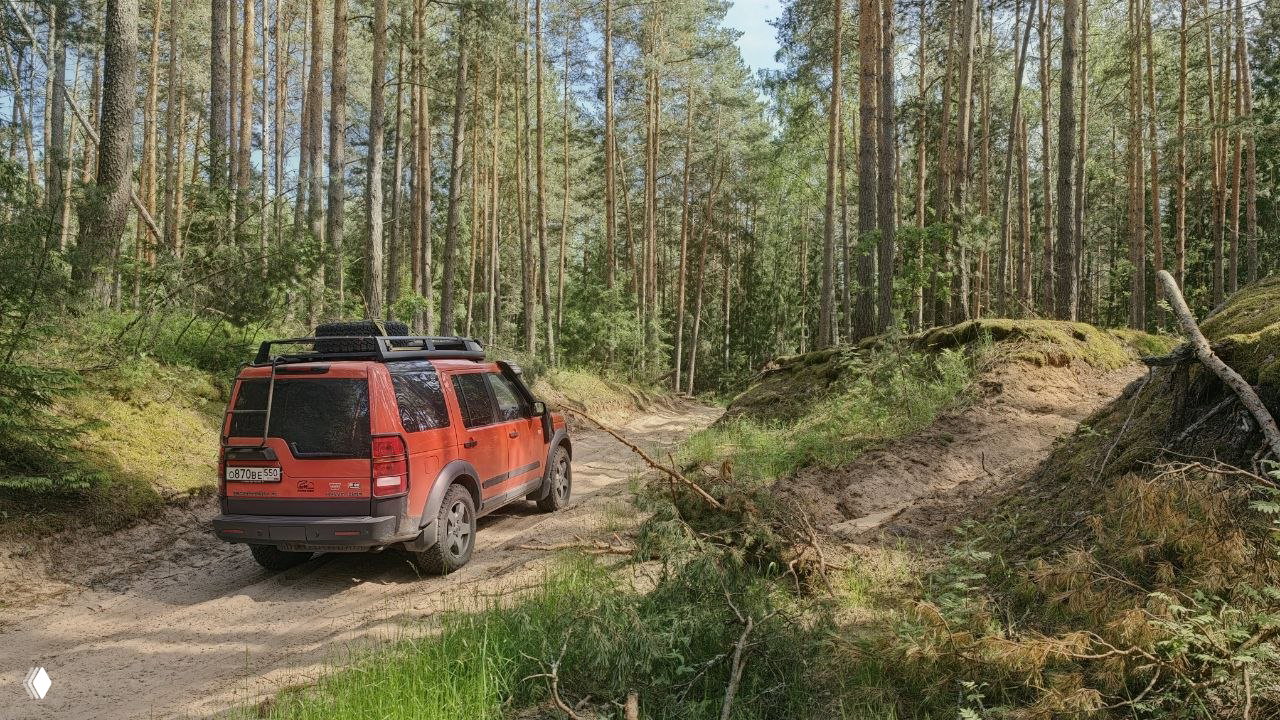 Узкая просёлочная дорога вдоль ручья, бревно-переход и зелёные молодые берёзы у воды — типичный участок внедорожного маршрута.