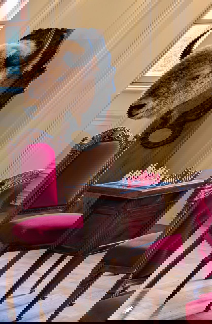 Угол игровой комнаты: шахматный столик, два кресла бордовой обивки и чучело бизона на стене — элементы аутентичной обстановки гатчинских покоев.