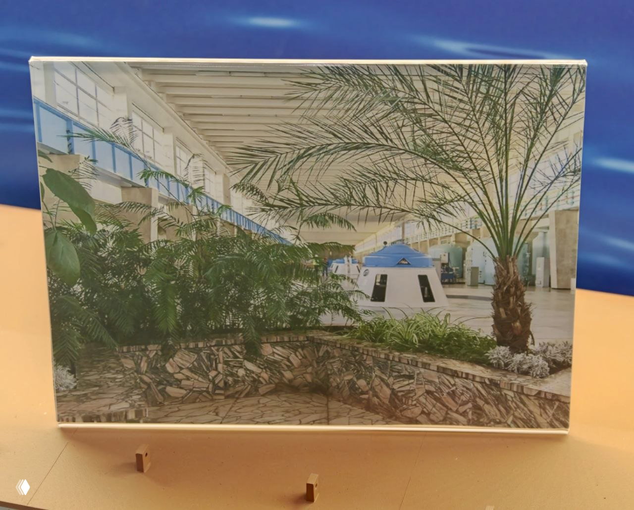 Фотография интерьера машинного зала с растущими пальмами внутри: кадр показывает необычное озеленение в зоне гидростанции.