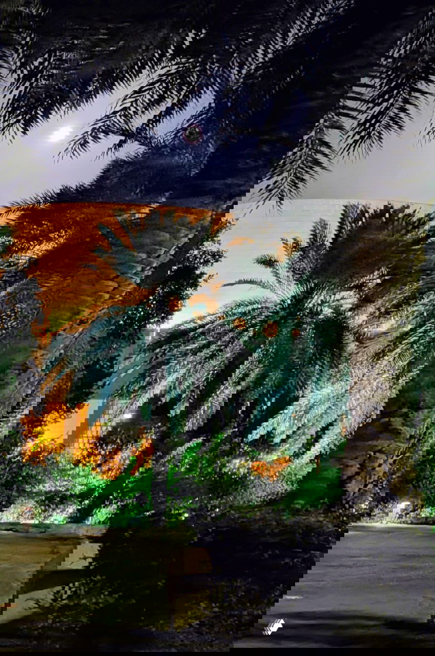 Ночная аллея с пальмами и лунным светом, зелёные насаждения и подсвеченная архитектура на заднем плане в тёплых тонах.