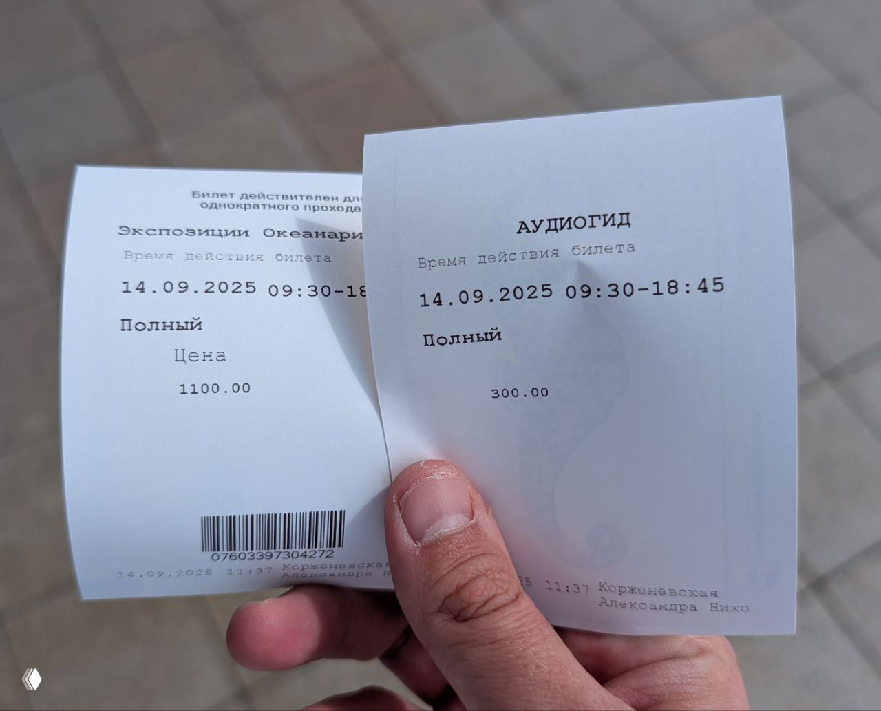 Ручные билеты: слева билет в океанариум за 1100 ₽, справа билет-аудиогид на сеанс морской экспозиции за 300 ₽, пальцы держат чеки крупным планом.