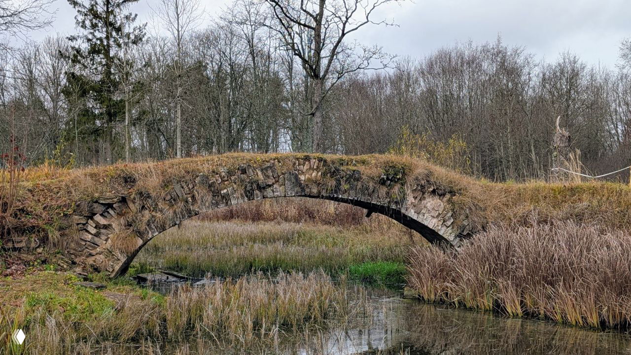 Каменный арочный мост через рукав пруда в пейзажном парке усадьбы, берег заросший осенней травой и кустарником.