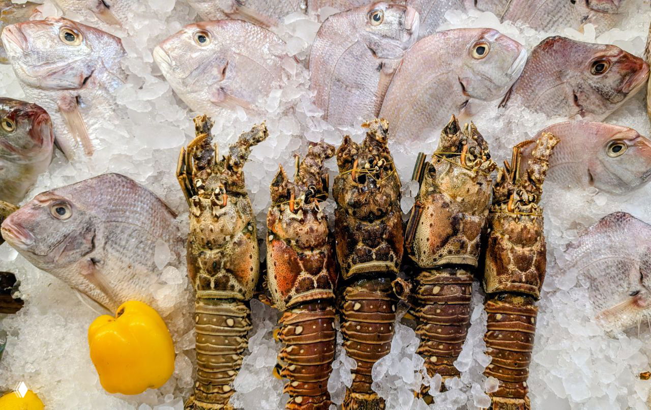 Прилавок рыбного рынка: несколько морских рыб на льду и ряд крупных лобстеров в центре кадра, иллюстрация рыночной кухни и морепродуктов в прибрежных городах.