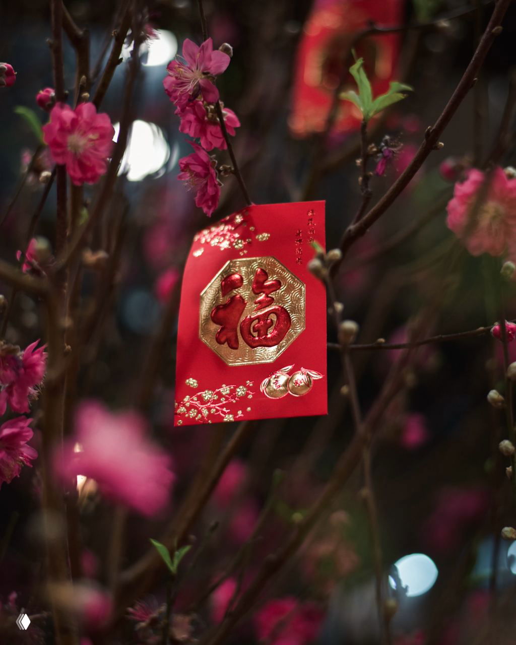 Красный конверт с иероглифом «福», прикреплённый к ветке с розовыми цветами — символ пожелания удачи в Китайский Новый год