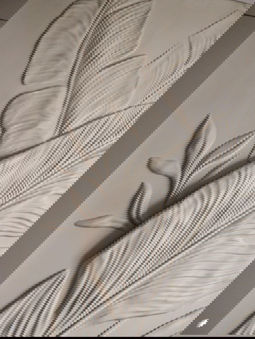 Крупный план декоративного барельефа с изображением крупных листьев: фактурная белая лепнина и выразительные акценты поверх светлой стены, детали отделки интерьера.