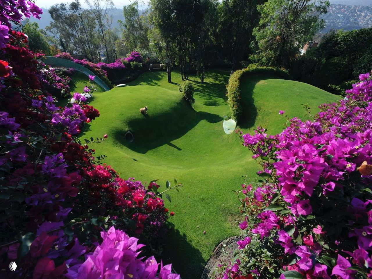 Необычные дома: «Органический дом» в холме в Мексике