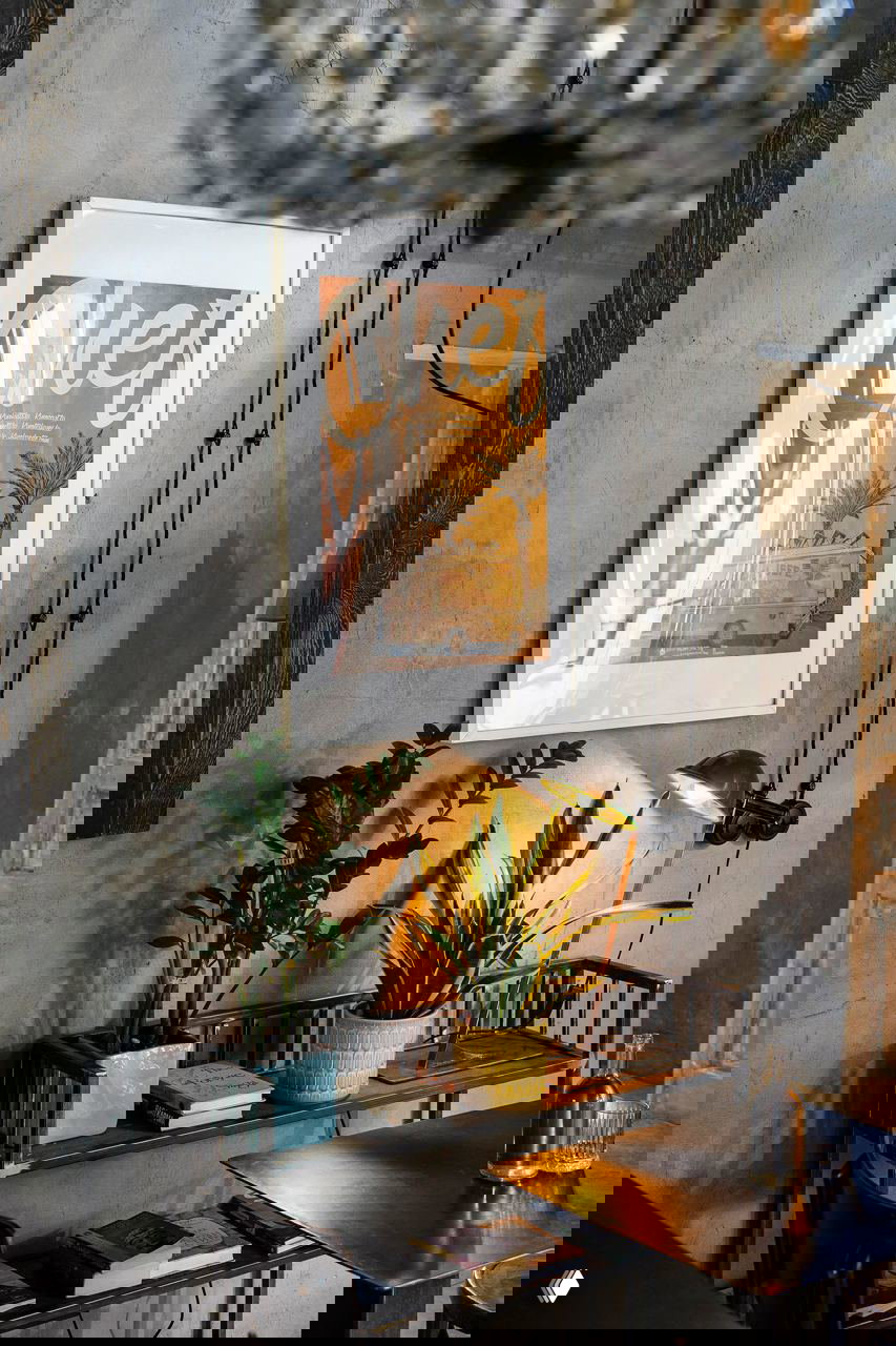 Ракурс на настенную картину в белой раме, металлическая настольная лампа, полка с растениями и грубая окрашенная штукатурка в кафе «Ровесники», фото Кирилла Овчинникова.