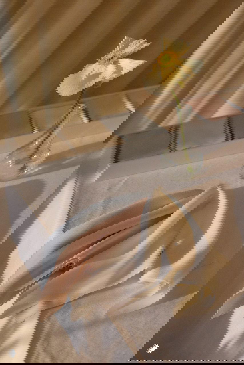 Нежная композиция с прозрачной стеклянной вазой и одним полевым цветком на покрытом тканью столе, рядом образцы пастельных тканей в спокойной палитре