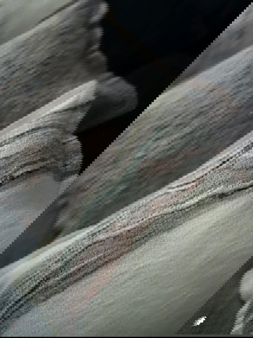 Деталь валяной подушки: слоями наложены волокна и тонкие переходы цвета, виден фактурный ботанический принт в нейтральных природных тонах.