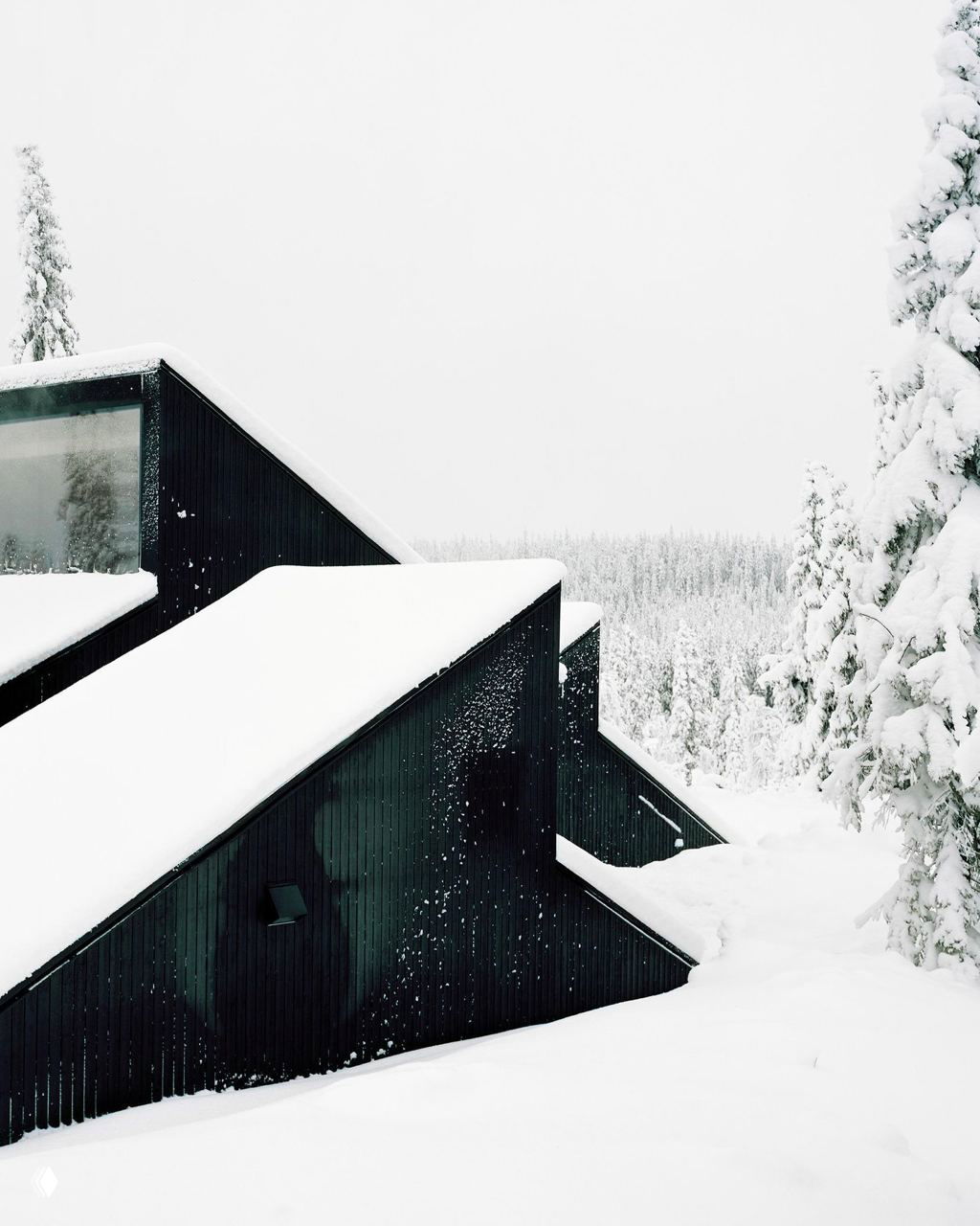 55 м² уюта: норвежский дом, сливающийся с лесом