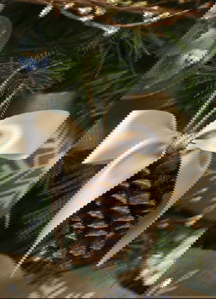 Крупный план елочной игрушки — шишки, перевязанные бечёвкой и украшенные атласным бантом, фото показывает вариант простой подвески для ёлки своими руками.