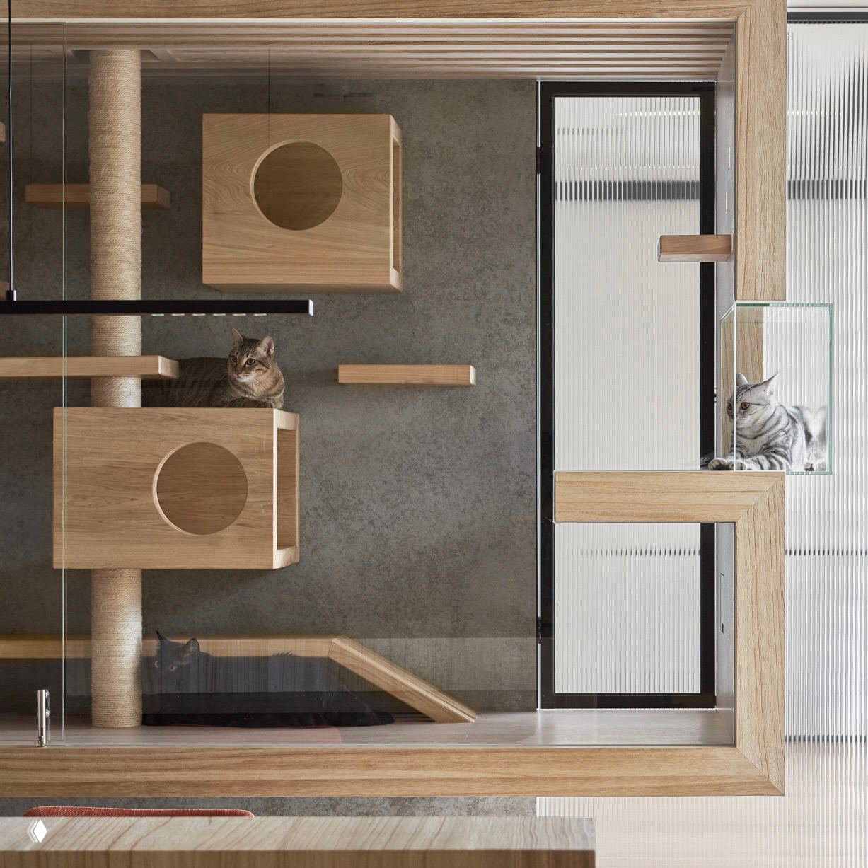 Кошки на модульной системе из светлого дерева за стеклом — пример вертикальных игровых зон в современном интерьере.