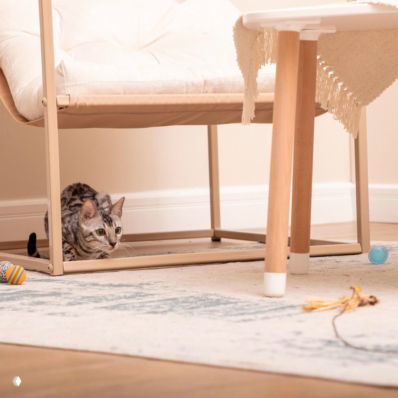 Молодая кошка прячется под стулом на светлом ковре рядом с разноцветными игрушками — бытовой кадр, показывающий игровые зоны.