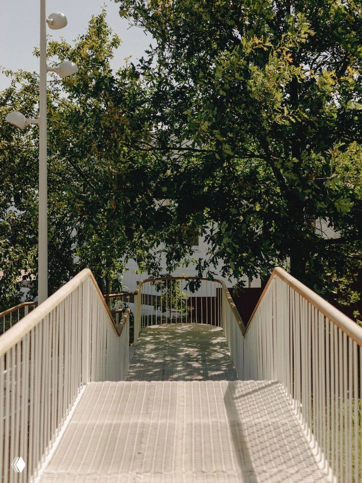 Прямой вид с верхнего пролёта на лестницу, ведущую вниз между зелёных деревьев; солнечные блики и тёплая палитра.