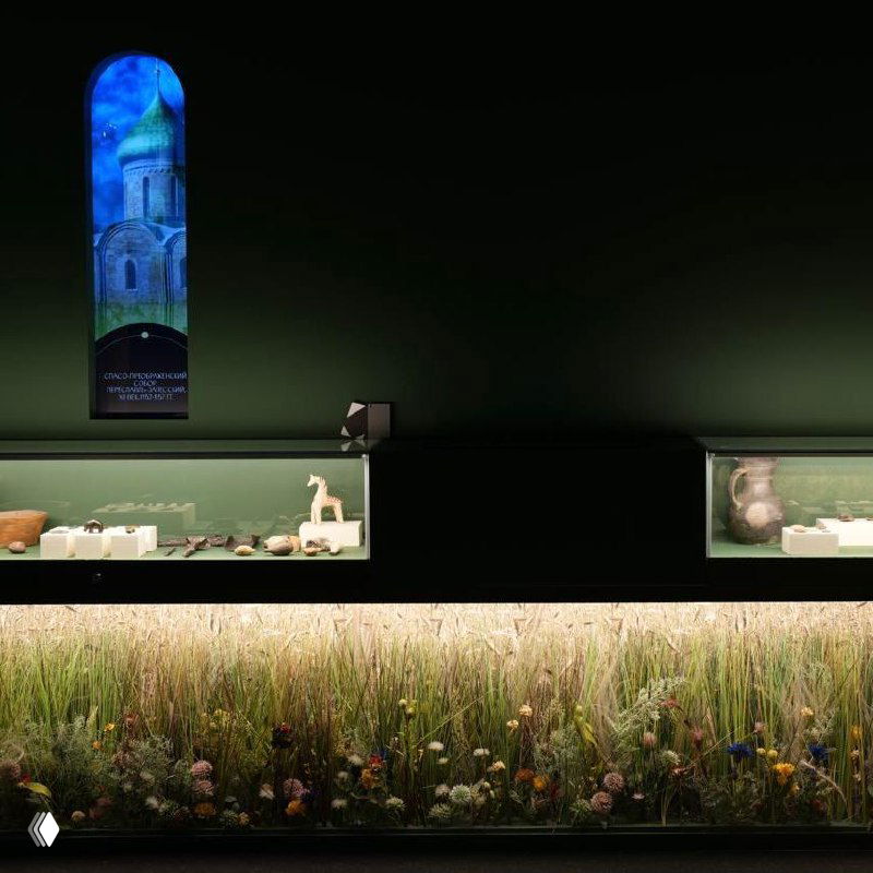 Изображение с полем дикорастущих трав и цветов на переднем плане и тёмным фоном; кадр частично искажен цифровыми артефактами и пикселизацией.