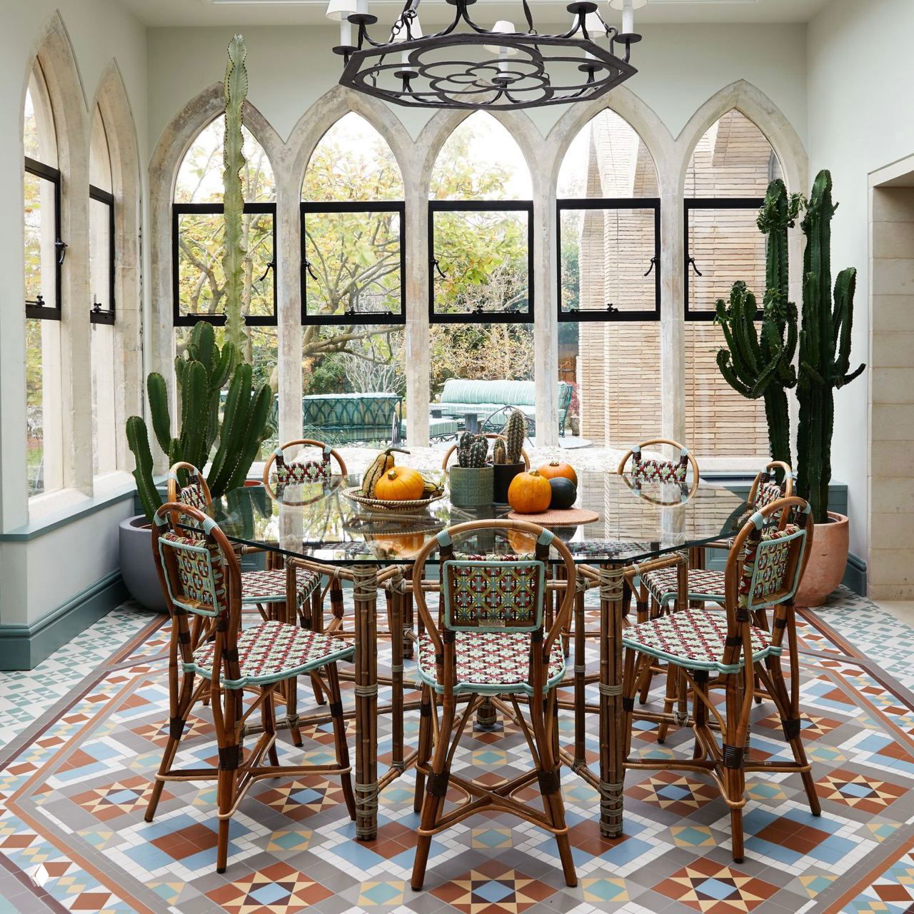 Комнатные растения, которые не боятся отопления