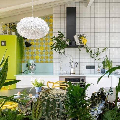 Пышная зелёная кухня с множеством кактусов и лиственных растений, белая плитка и яркие акценты создают живую домашнюю атмосферу.