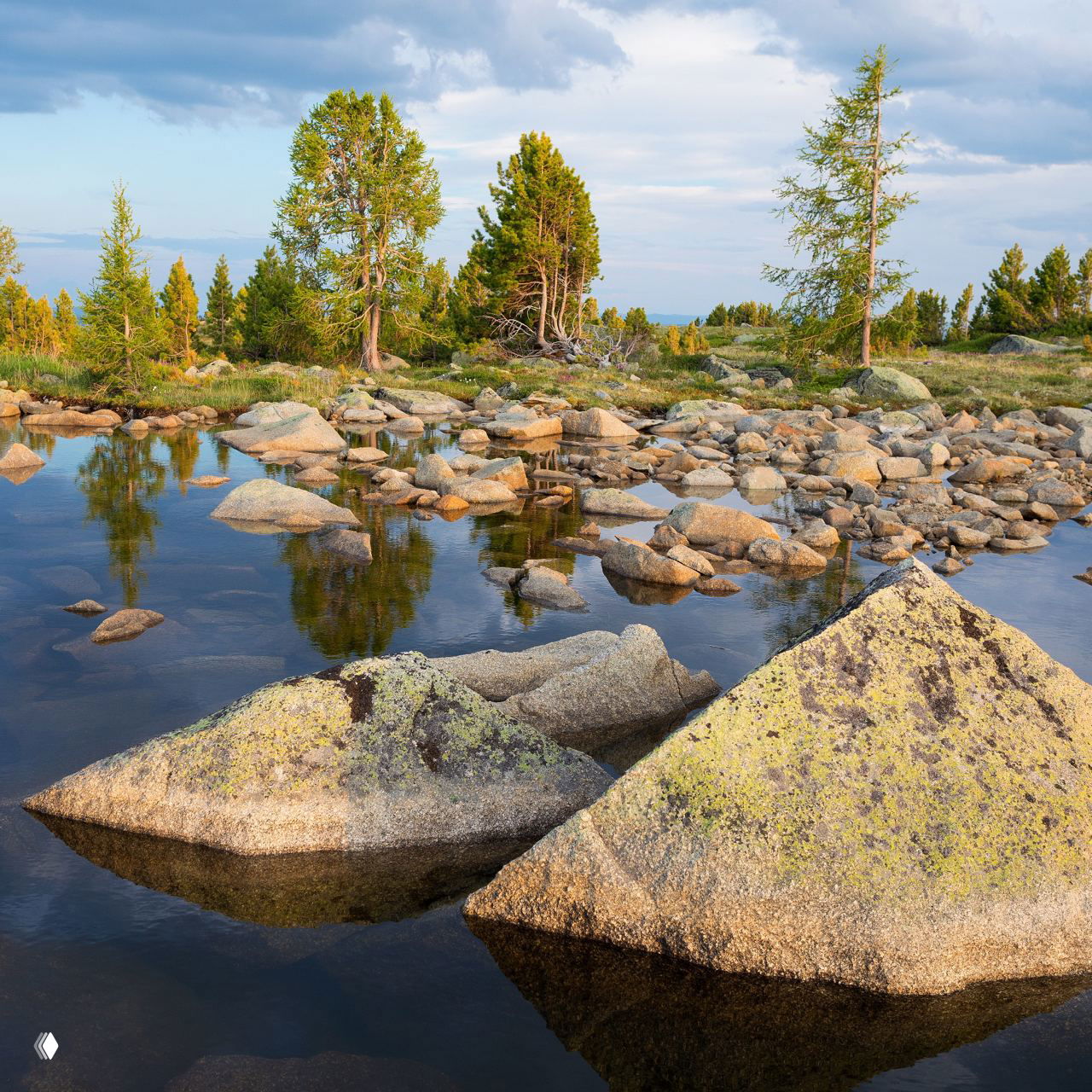 Берег озера в Убсунурской котловине с гранитными валунами и соснами, спокойная вода отражает лес и скалы в летнем пейзаже.