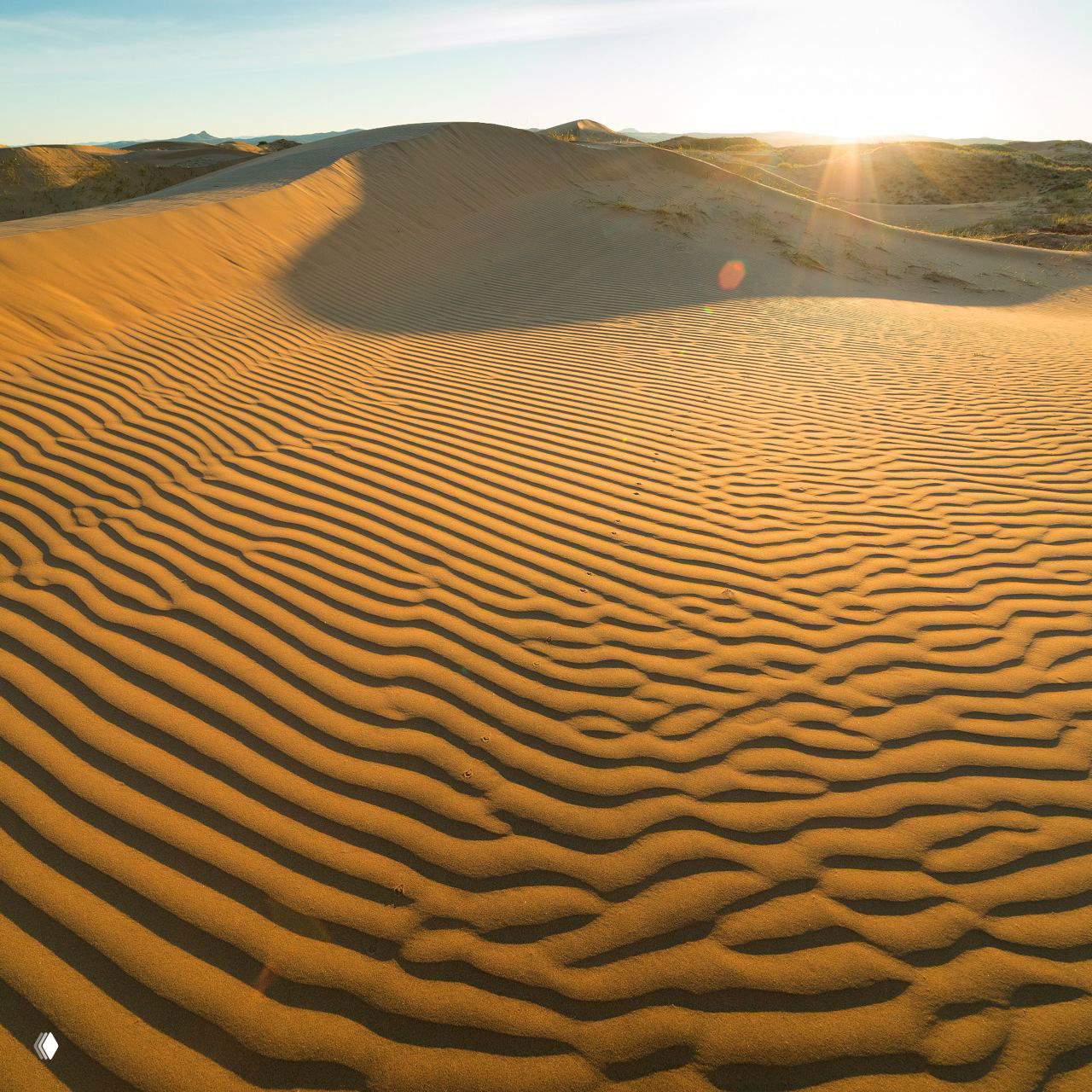 Песчаные дюны под низким солнцем — пустынный участок котловины, где ветер формирует рифленую поверхность песка и характерный ландшафт.
