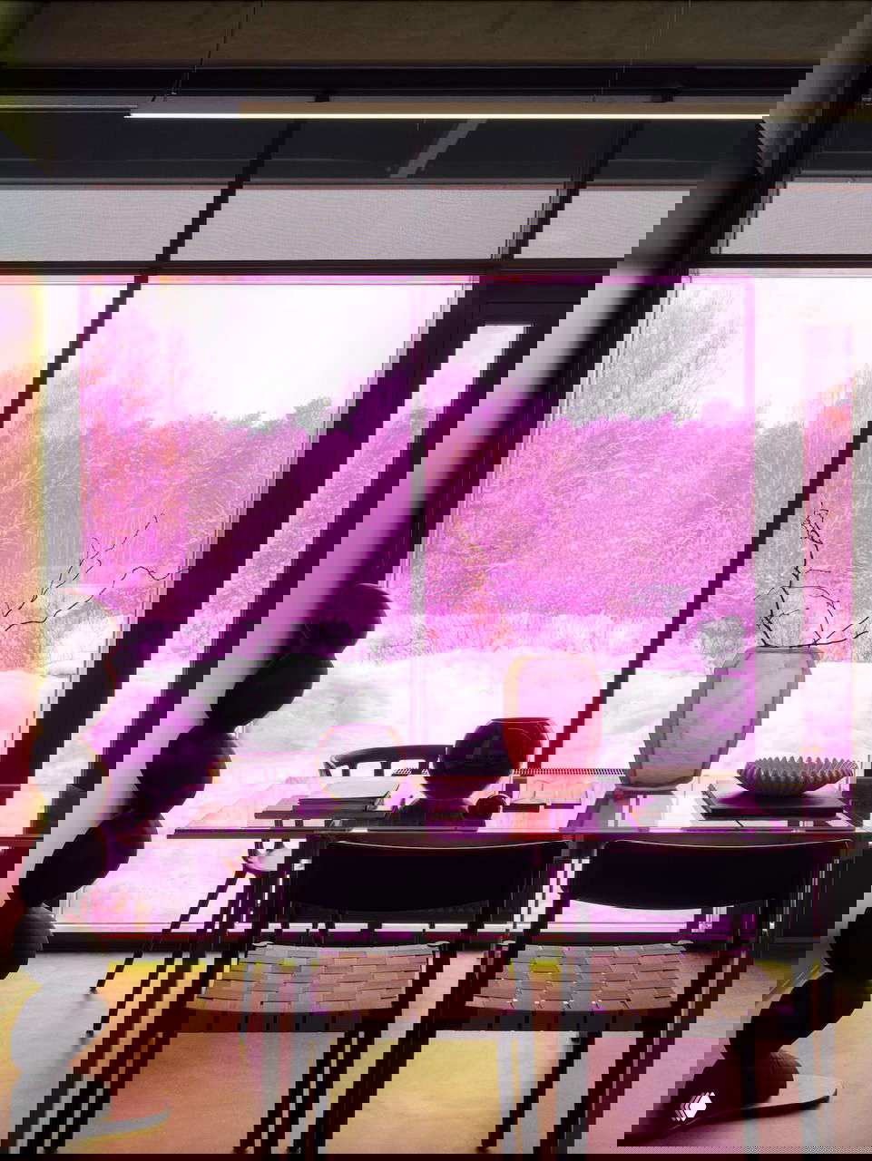 Панорамное окно с розовым дихроичным тонировочным эффектом, стол с вазой на переднем плане и снежный пейзаж за стеклом.