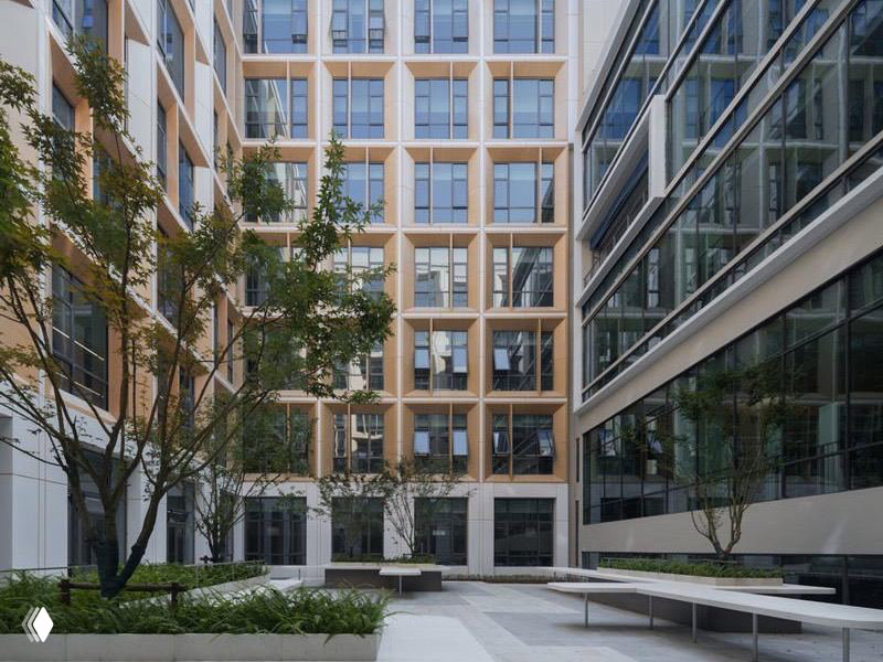 Внутренний двор между корпусами: большие окна, минималистичные зелёные насаждения и просторные переходы для прогулок и общения студентов.