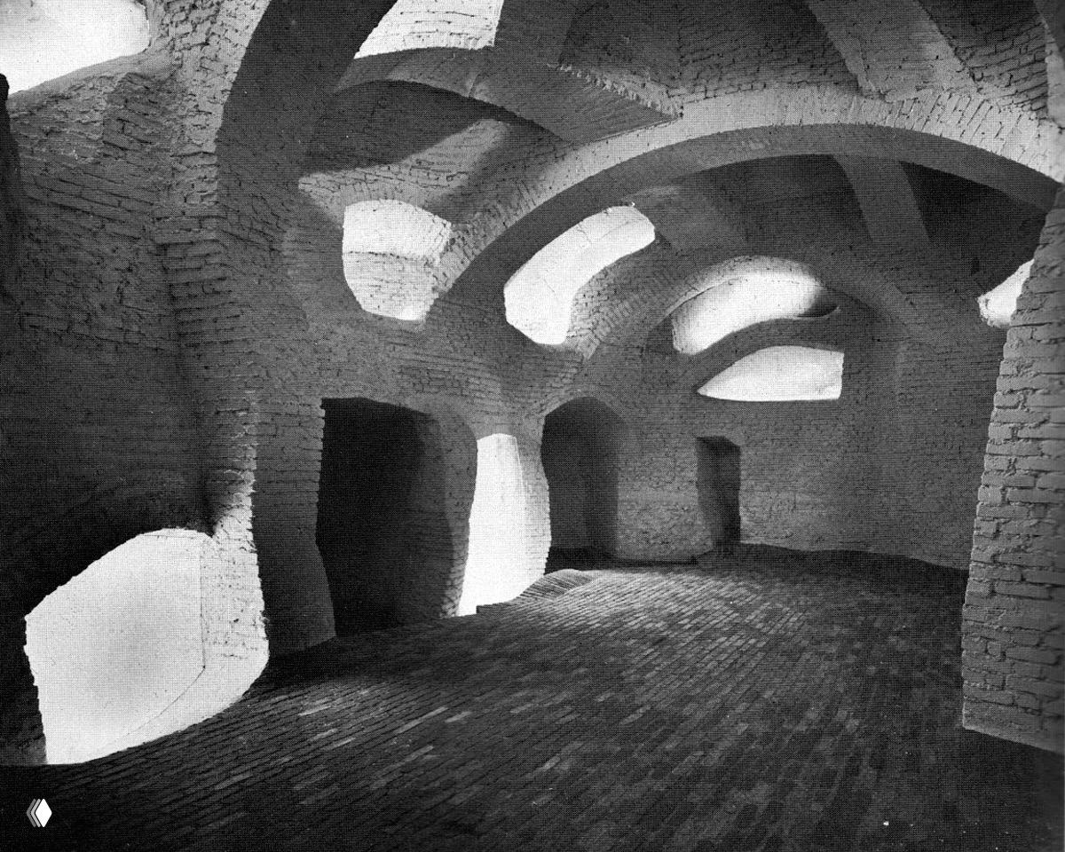 Архитектурная стена с овальными окнами и плавными переходами, окружённая густой растительностью и тенями от деревьев.