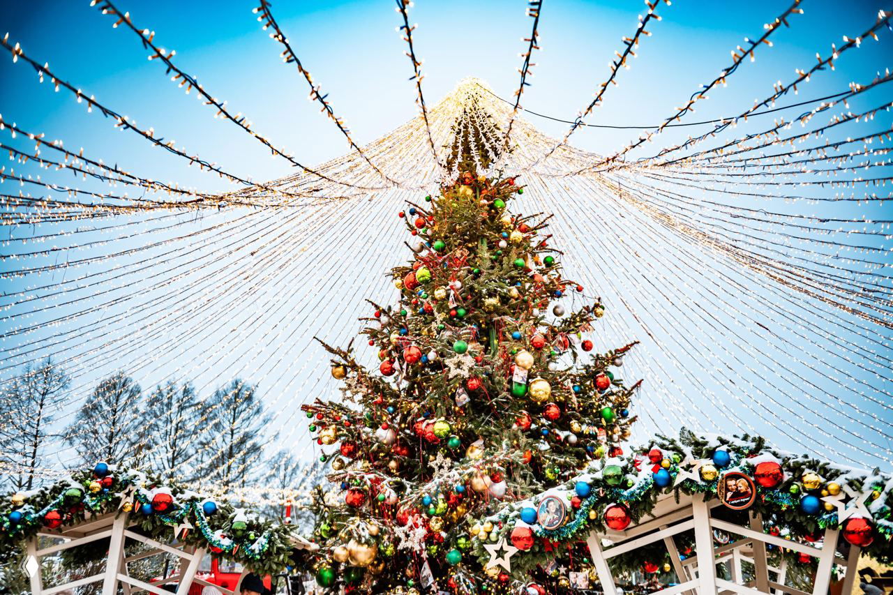 На бал Золушки и на каток под звездами в Москве