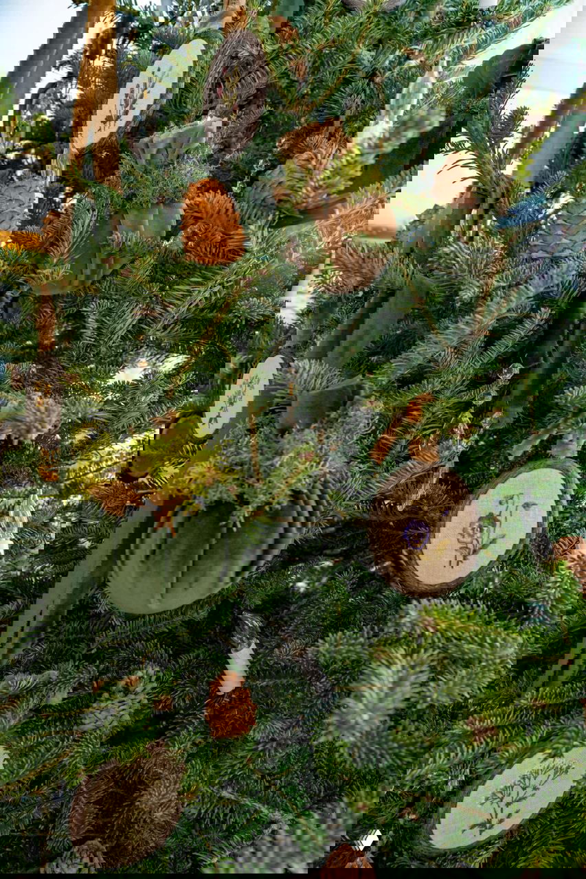 Ёлка украшена бархатными лентами, шишками и вышитыми деревянными медальонами — ручная работа в натуральной, спокойной палитре декора.