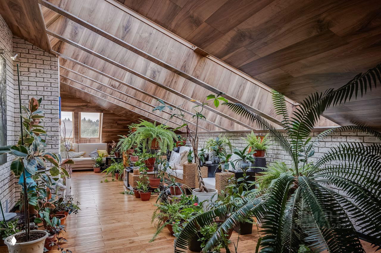 Оранжерея на мансарде с многочисленными зелёными растениями в горшках, деревянным полом и дневным светом, проникающим через окна кровли.
