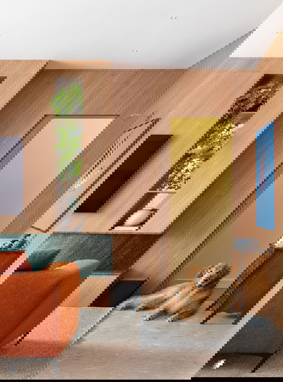 Квартира в Бразилии для молодой пары и их ретривера