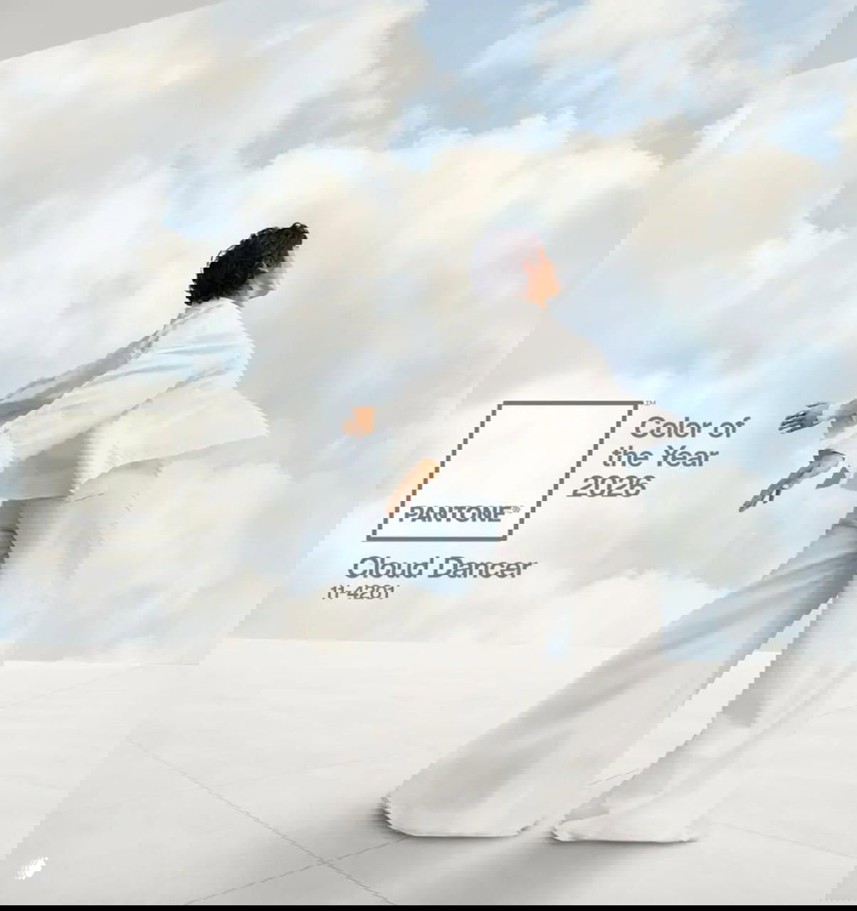 Pantone объявил цвет года 2026 — Cloud Dancer
