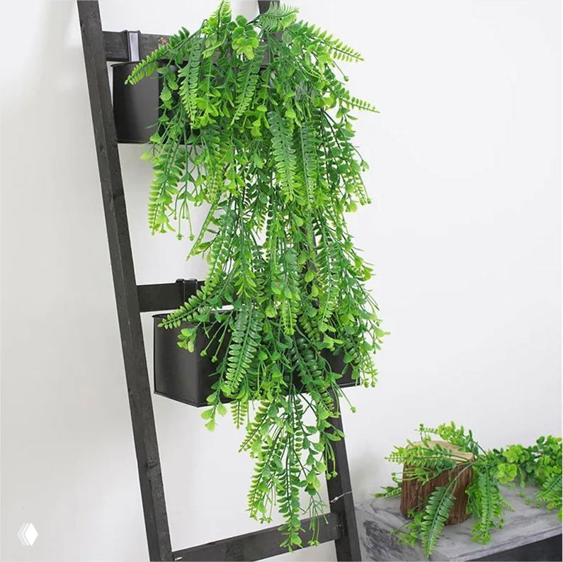 Топ-3 комнатных растений, лучше всего поглощающих влагу