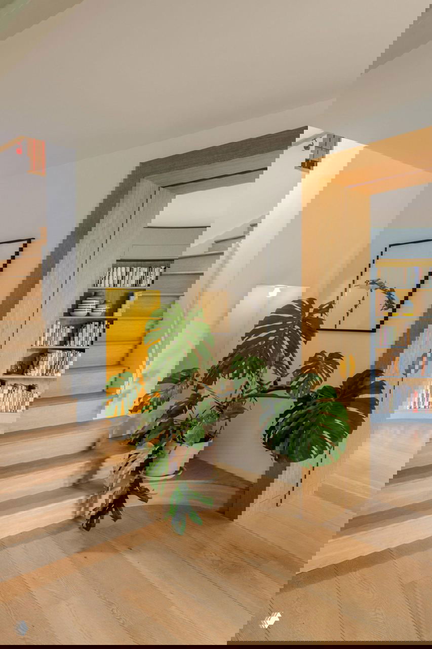 Прихожая со ступенями из дуба, крупным монстера в горшке и видом в библиотеку через дубовую дверную раму с круглыми ручками.