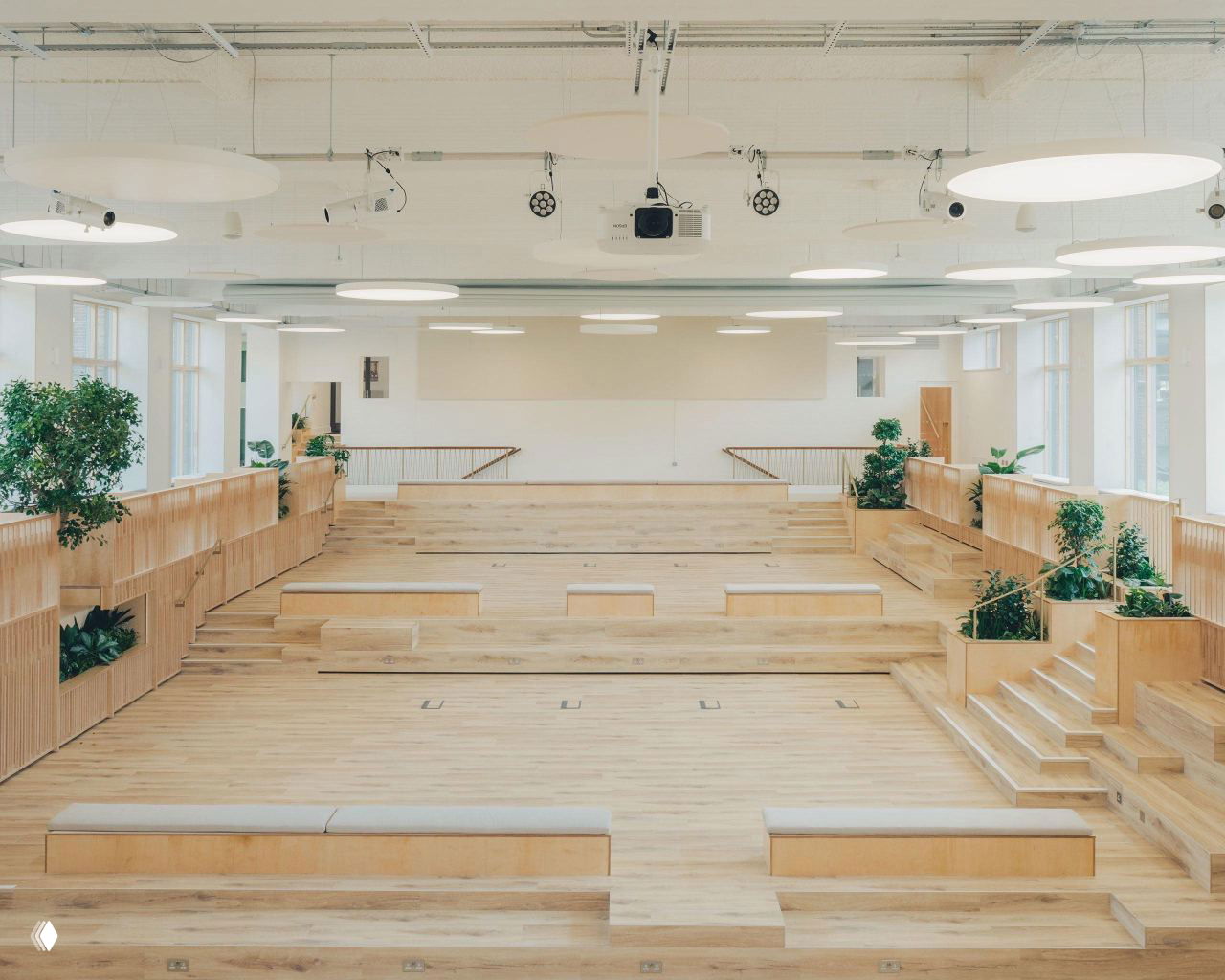 Амфитеатрная планировка в бывшем бассейне: ступенчатые места из светлого дерева, встроенные растения и мягкое естественное освещение.