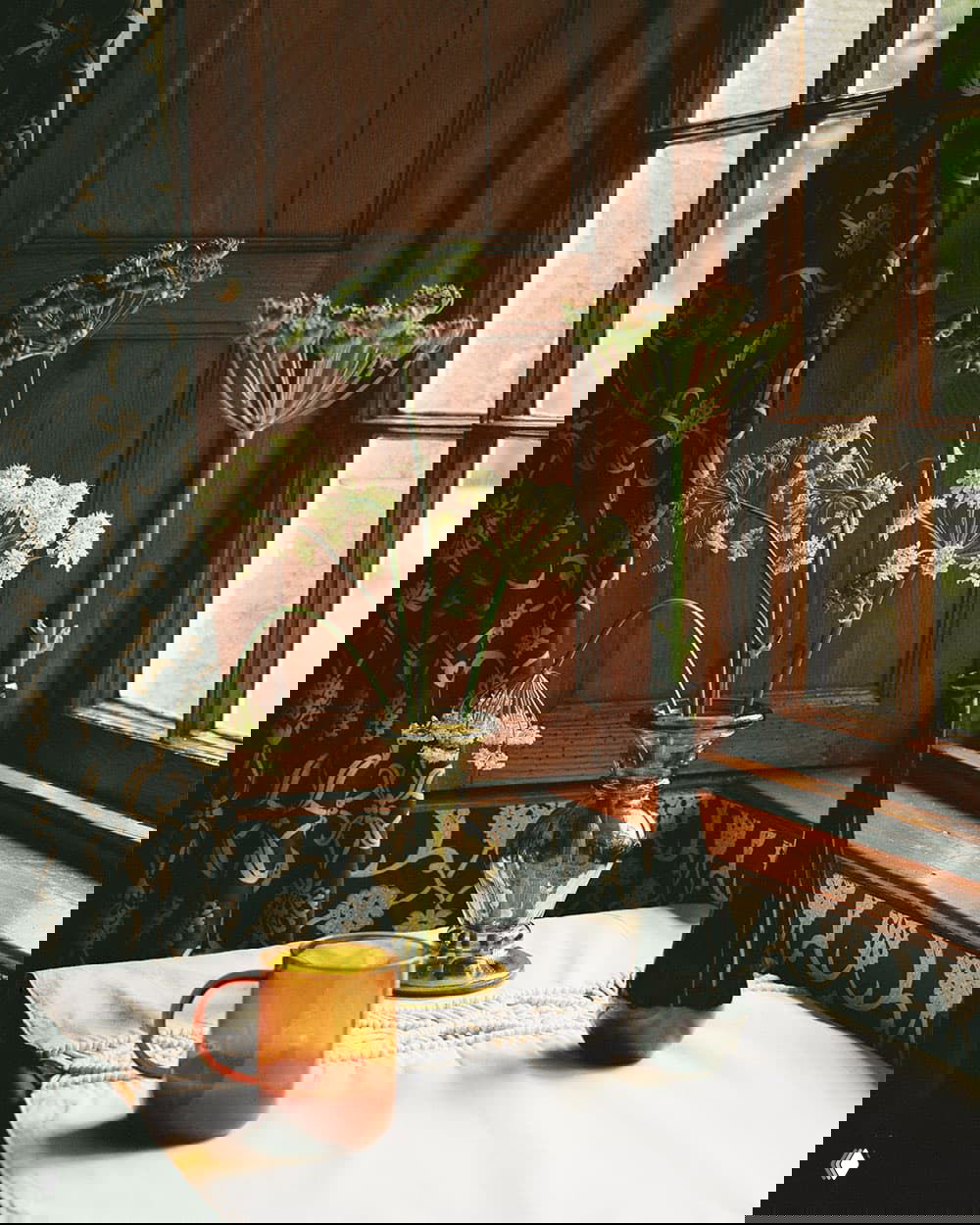 Натюрморт у окна: высокие стеклянные вазы с белыми полевыми цветами на фоне деревянной рамы и узорных штор в традиционном шотландском интерьере.