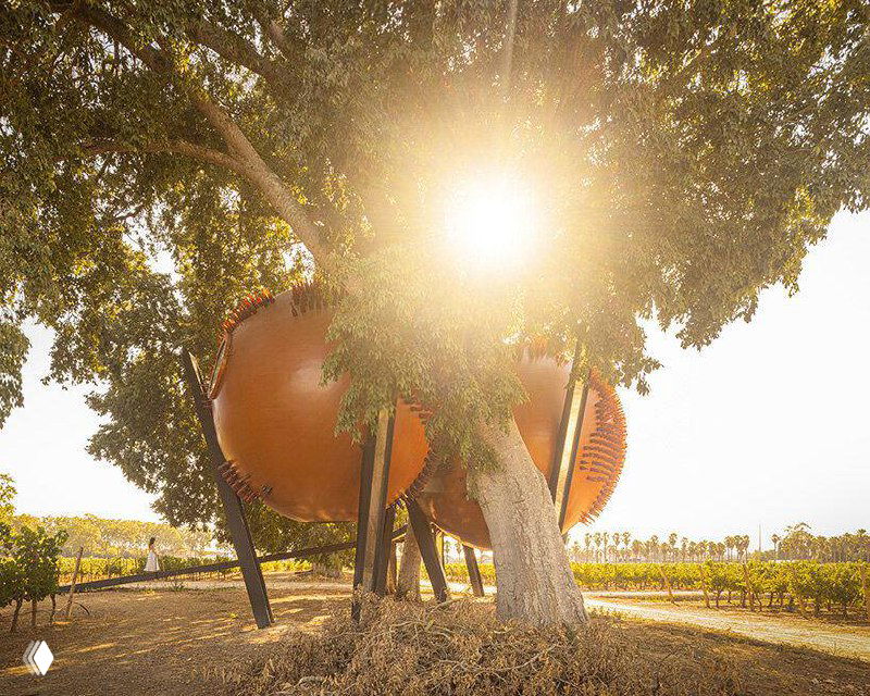 Солнечный луч скользит над виноградником и деревьями; в композиции заметна игра света и тени вокруг сфер Atomos в натуре.