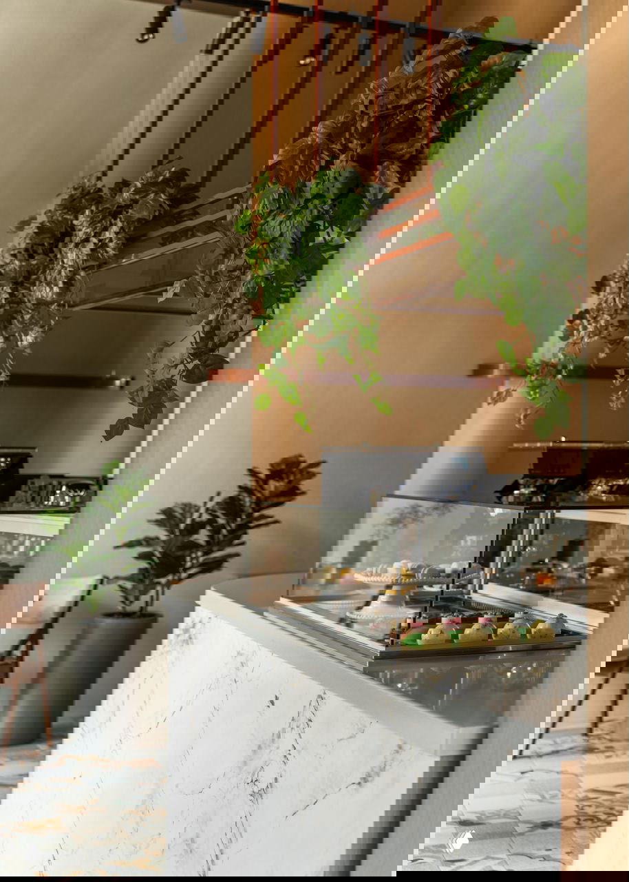 Крупный план барной стойки с витриной кондитерских изделий, подвесными растениями и кофемашиной на фоне нейтральных текстур и натуральных материалов.