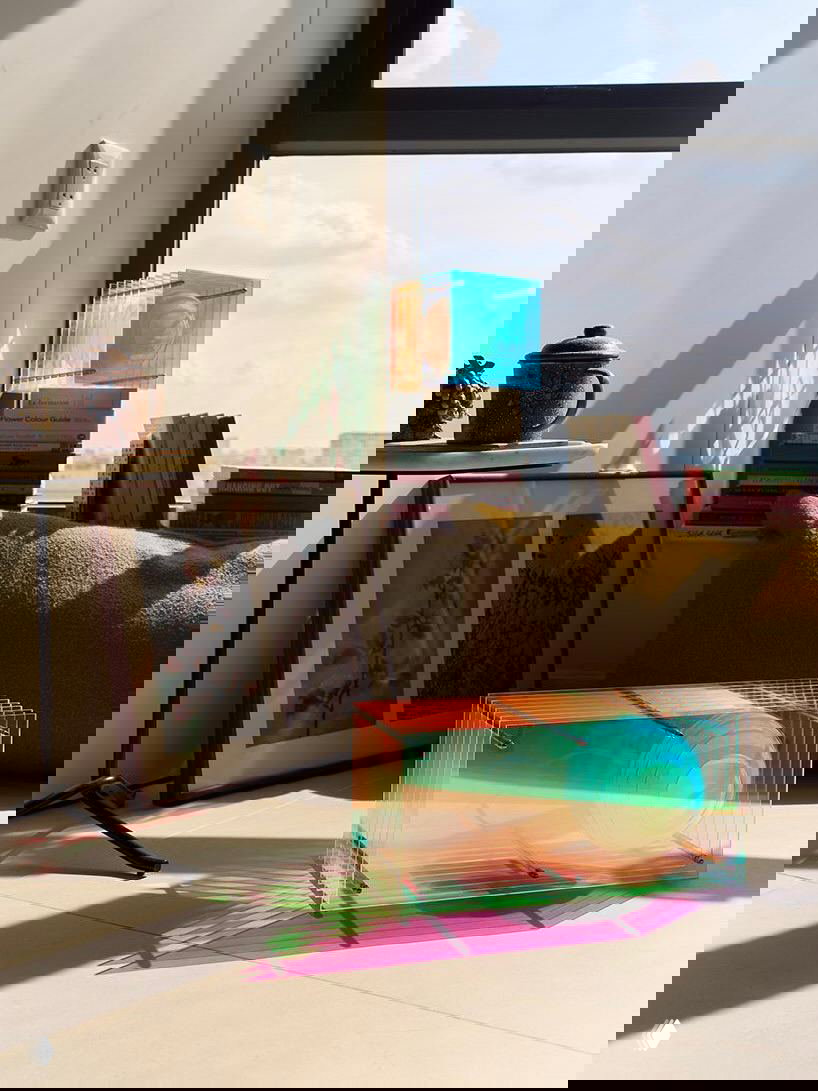 Две лампы Dreamy Lop в интерьере у окна и на полу: акриловые панели и опаловый шар создают разноцветные тени, рефлексы и игру света в комнате.