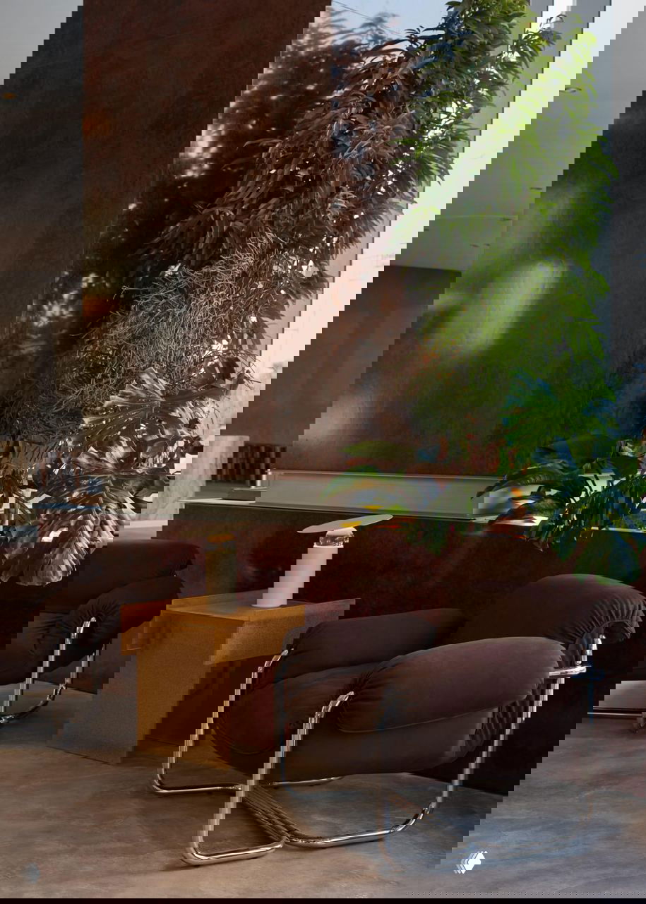 Уютный уголок у окна: коричневые мягкие кресла на хромированных рамах, низкий стол и внутренние растения на фоне глянцевой панельной стены.