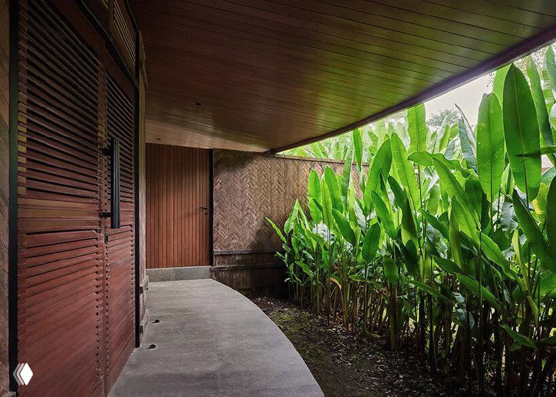 Пешеходная галерея под изогнутой деревянной кровлей, по которой плавно стекает свет и открываются виды на тропическую растительность.