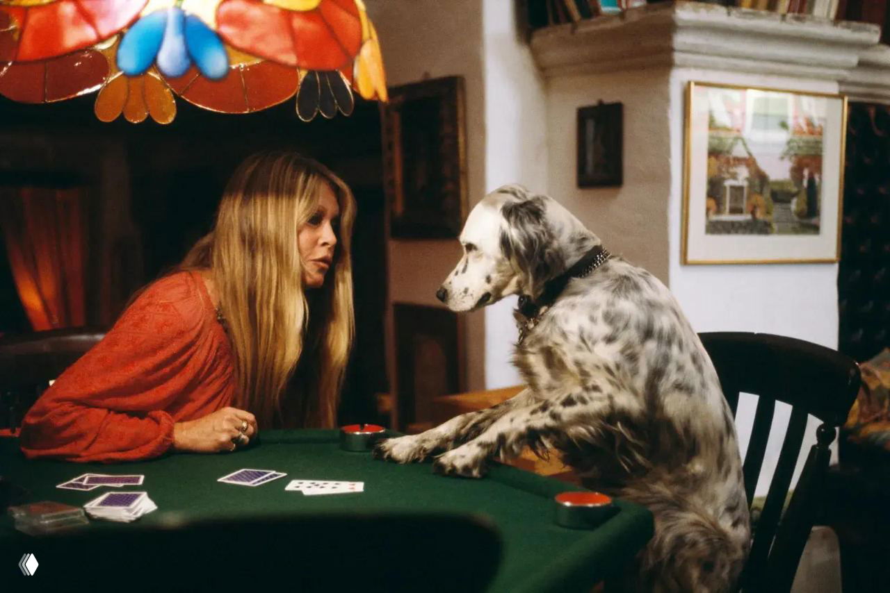 Умерла Брижит Бардо: как жила актриса и зоозащитница