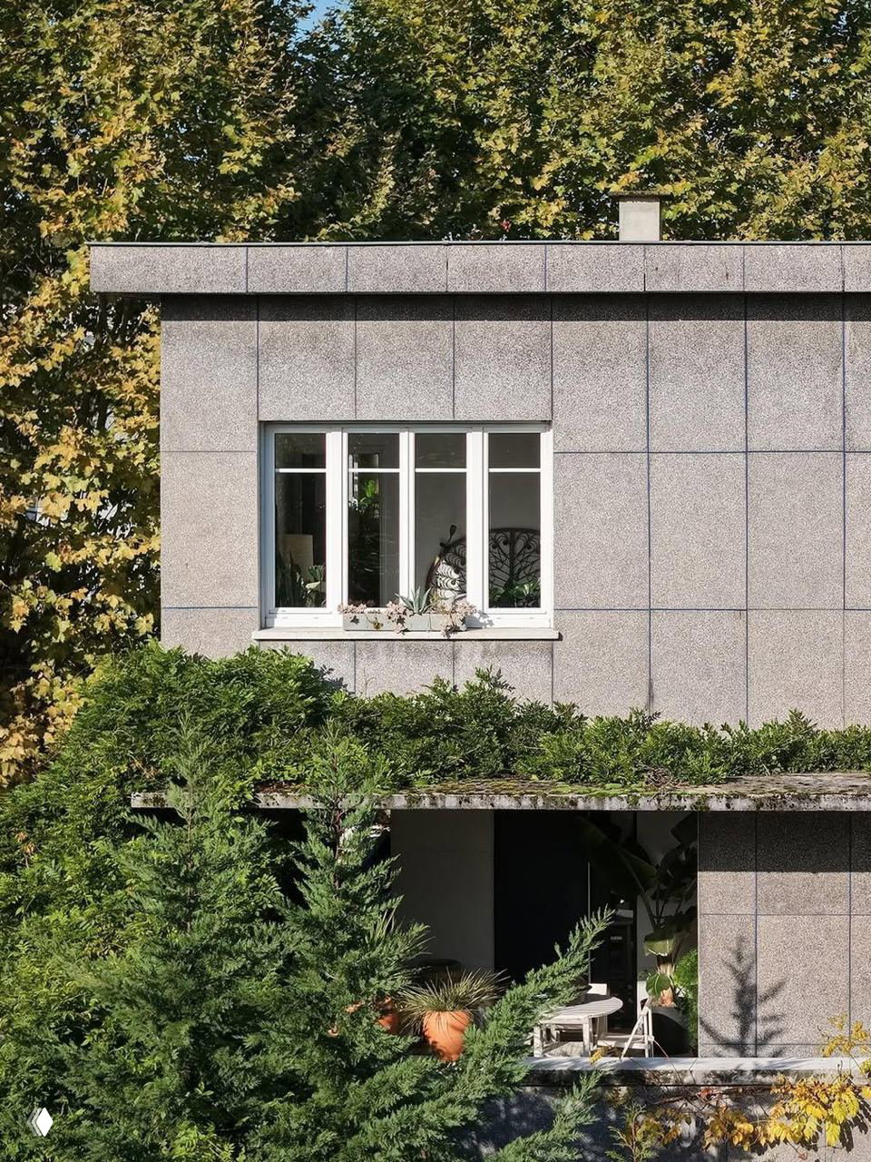 Внешний фасад дома с плоской крышей и облицовкой, частично скрытый зеленью, выдержанный в строгих геометрических формах в духе модернизма.