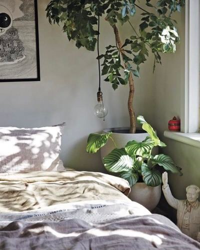 Угол спальни с рельефным креслом горчичного цвета, плетёным журнальным столиком и большим зелёным комнатным растением у окна, тёплый уют.