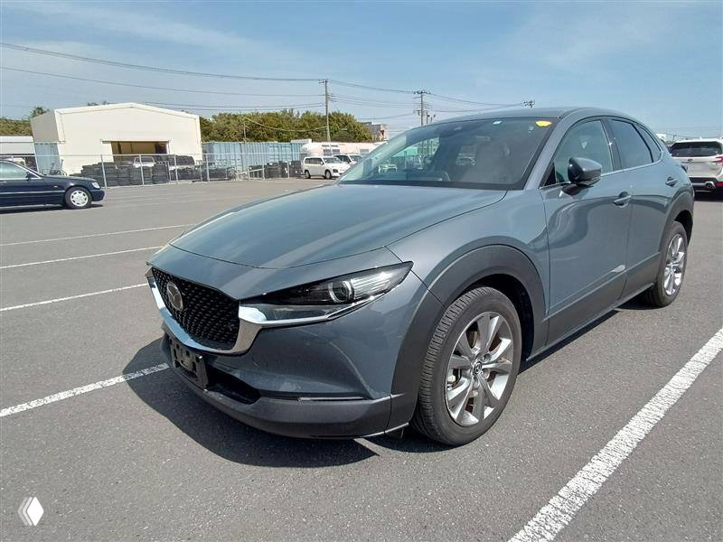 Фотоотчёт: Mazda CX-30 2023 — прибытие на ярд