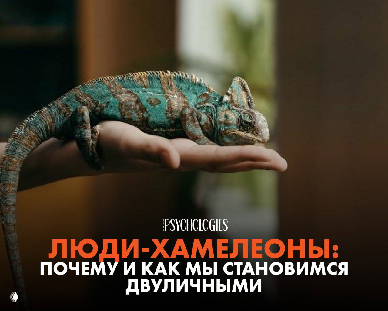 Люди‑хамелеоны: почему мы становимся двуличными