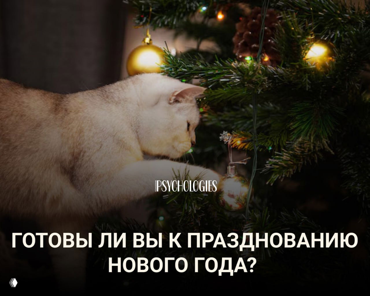 Готовы ли вы к празднованию Нового года?